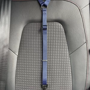 Car Seat Belt (for use with harness only)