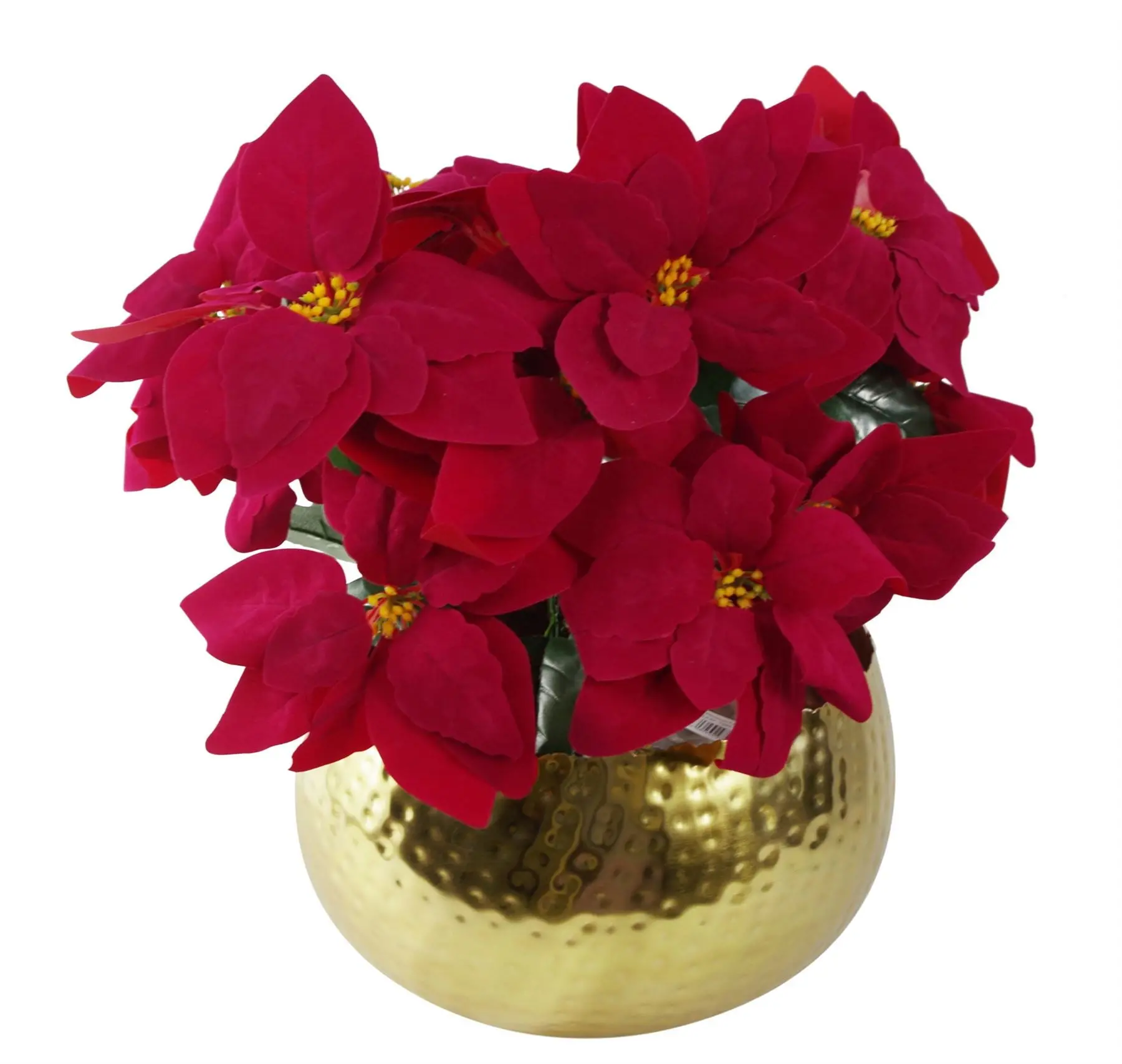 Poinsettias in Gold Planter